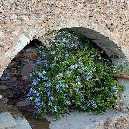 Tania Village Zakros Maisonette Buitenkant foto