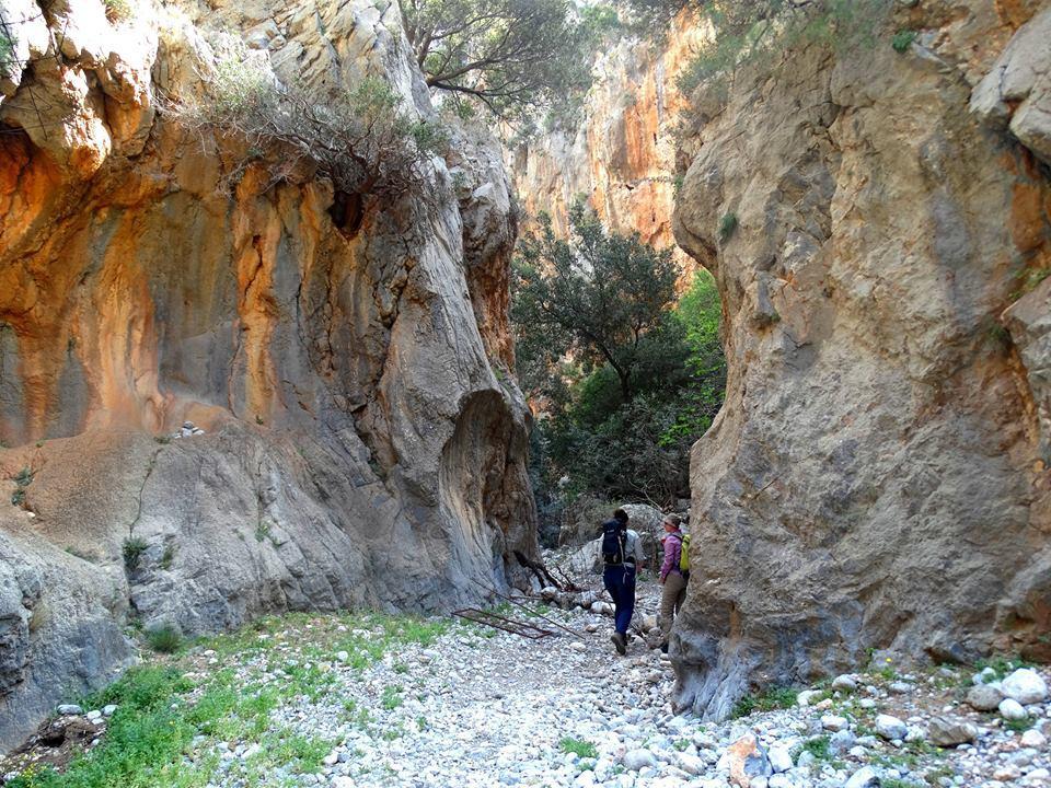 Tania Village Zakros Maisonette Buitenkant foto